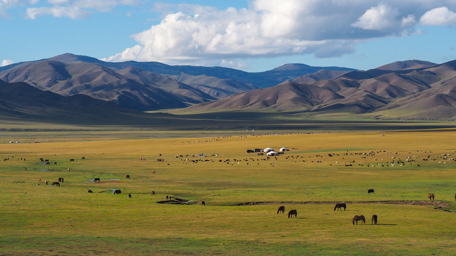 Mobile Screening Drives Expanded Breast Cancer Care in Mongolia