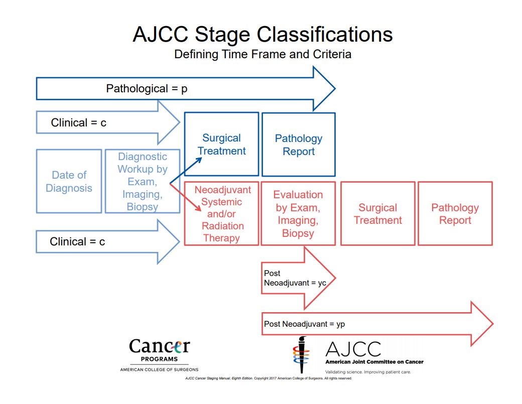 Stage Classifications Graphic