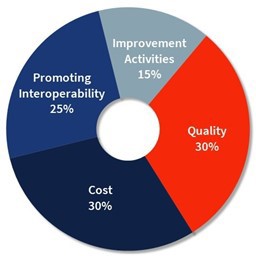 2024 MIPS Categories Breakdown