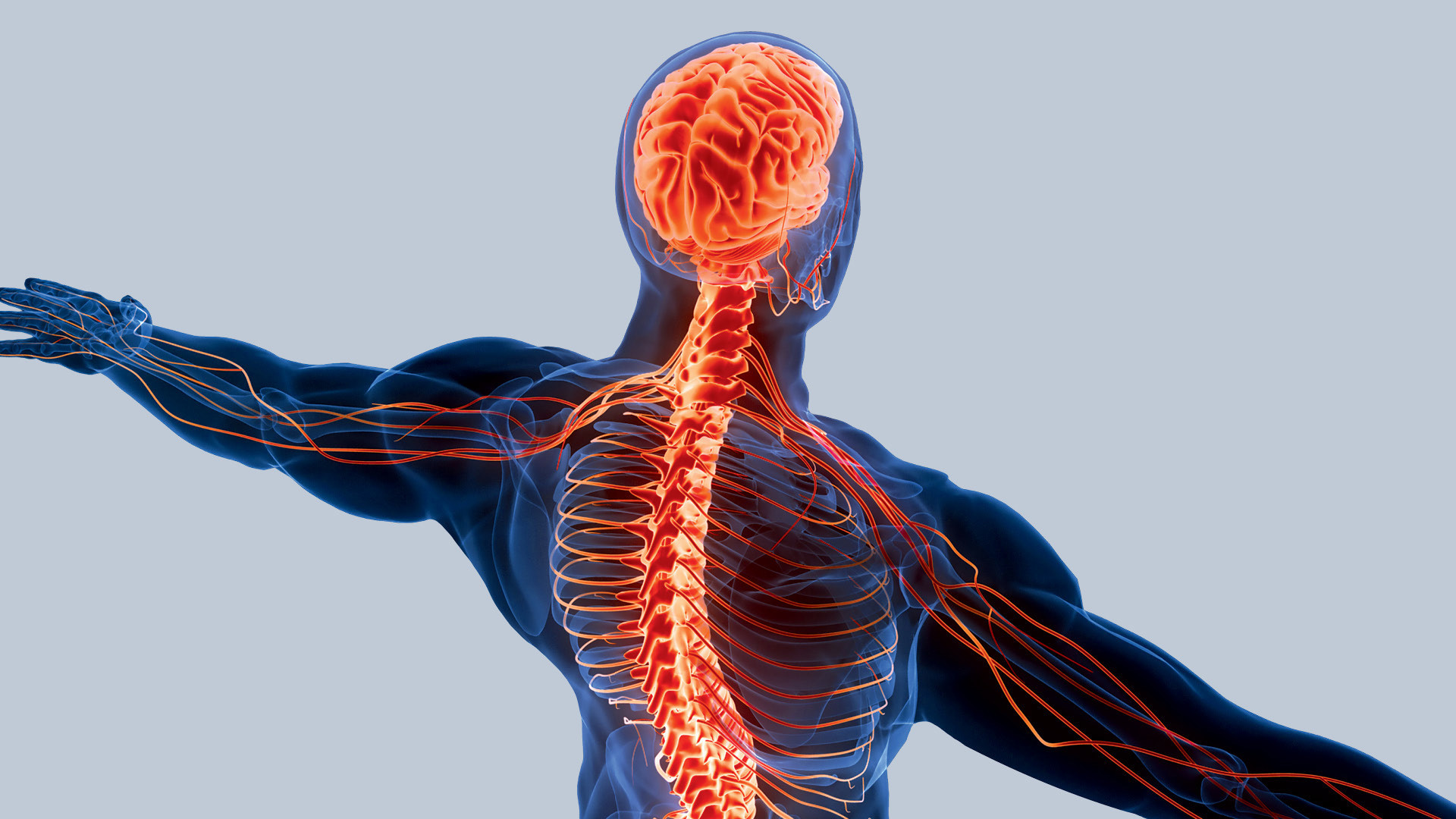AI Is “Rewiring” Neurosurgery Through Clinical Decision Support